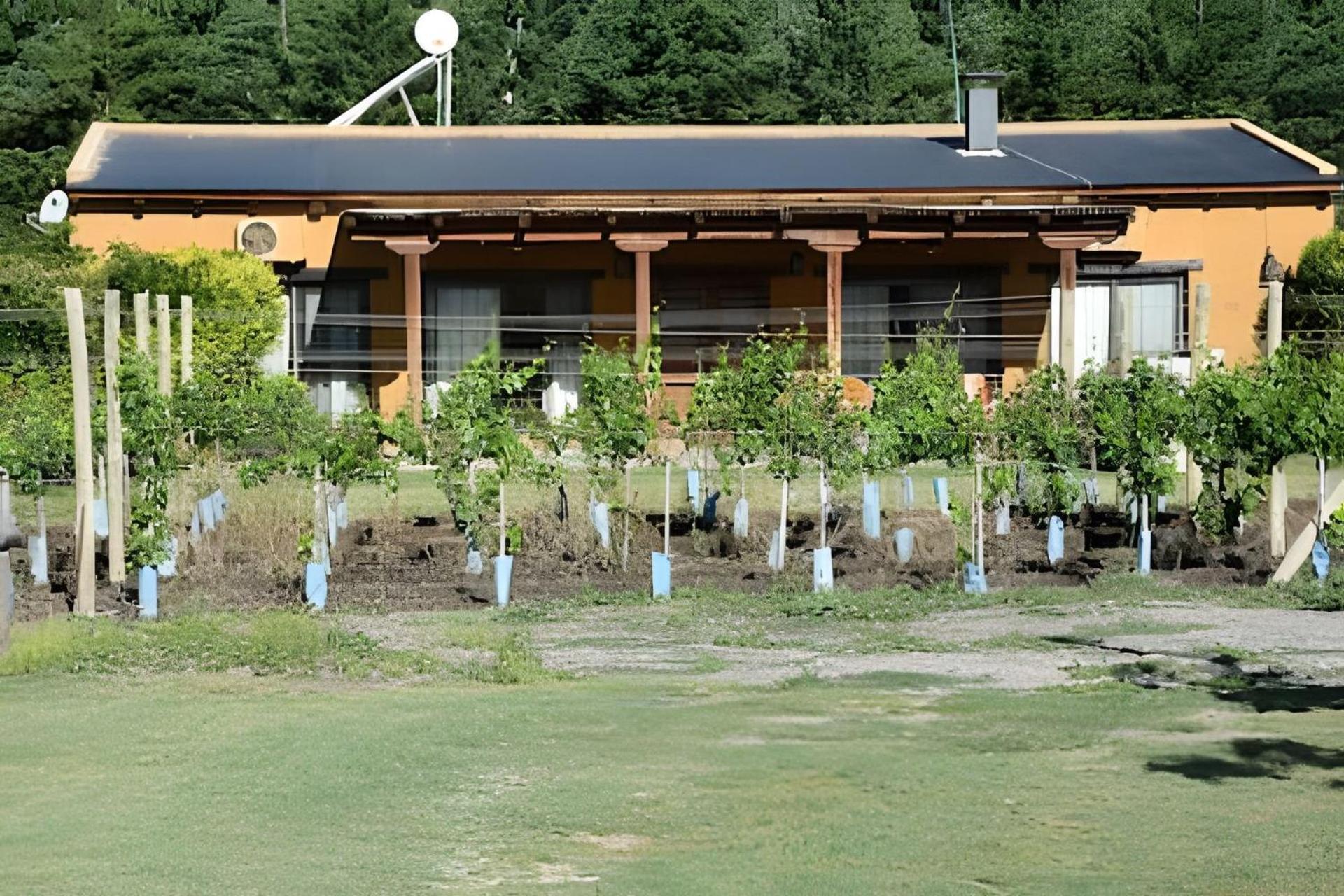 Finca Ogawa Los Sauces  Buitenkant foto